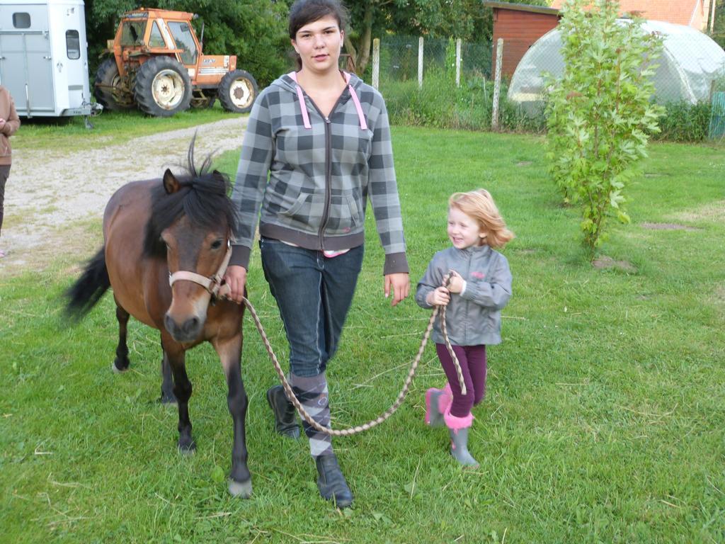 Gite Et Relais Equestre De Marie Tours-en-Vimeu Экстерьер фото