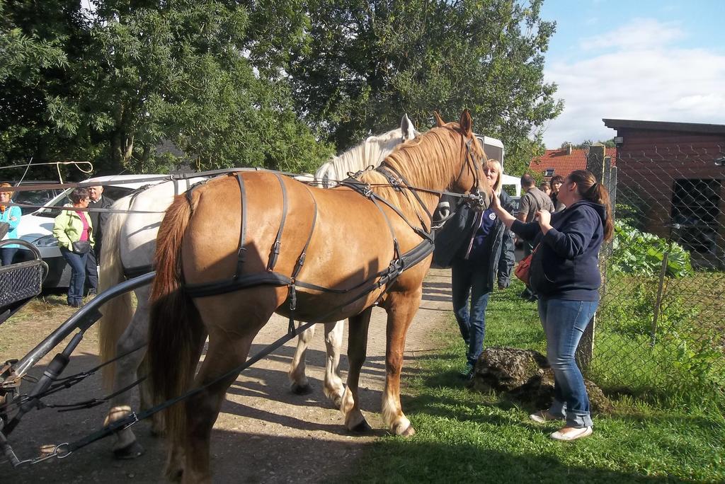 Gite Et Relais Equestre De Marie Tours-en-Vimeu Номер фото