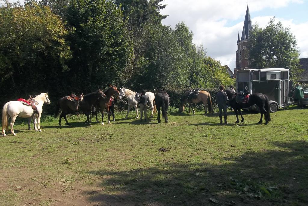 Gite Et Relais Equestre De Marie Tours-en-Vimeu Экстерьер фото