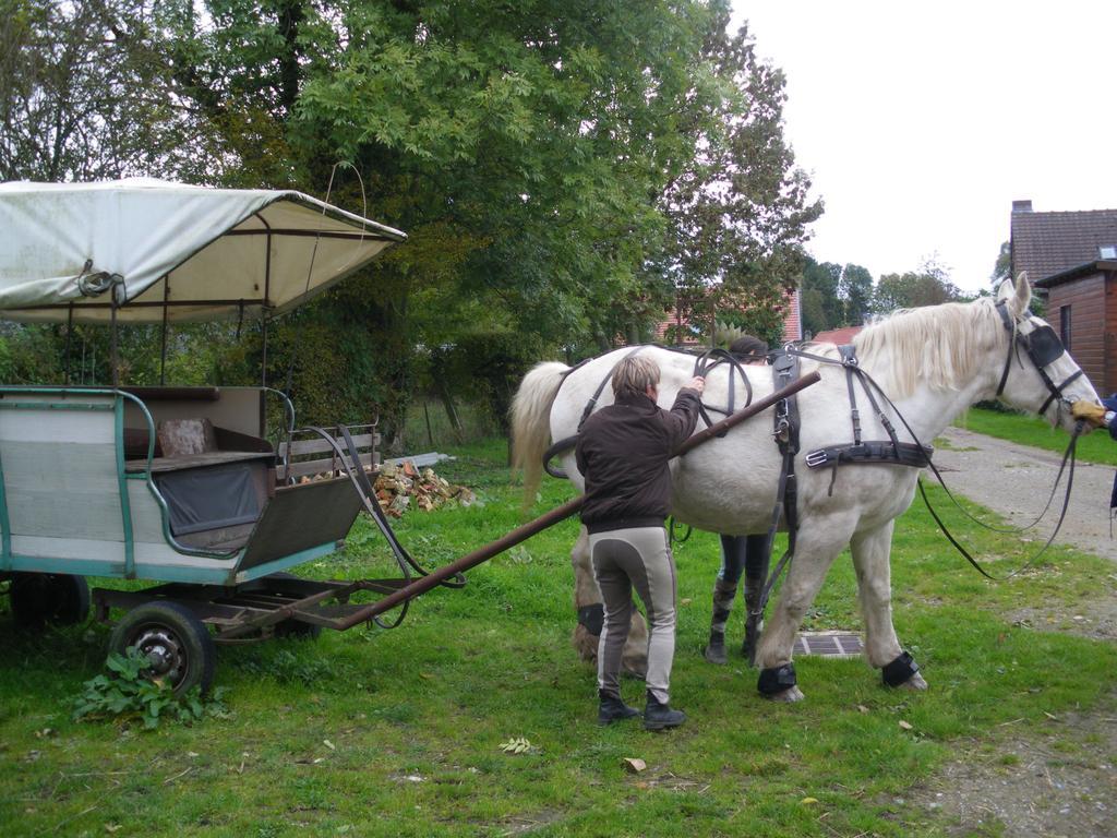 Gite Et Relais Equestre De Marie Tours-en-Vimeu Номер фото