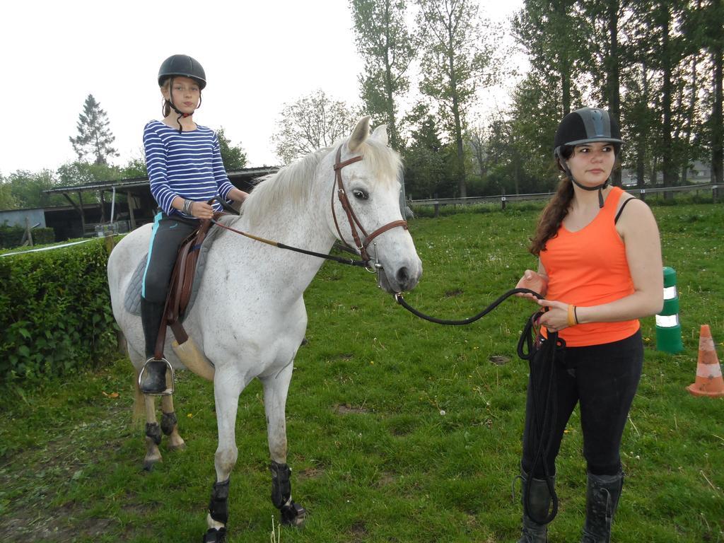 Gite Et Relais Equestre De Marie Tours-en-Vimeu Номер фото