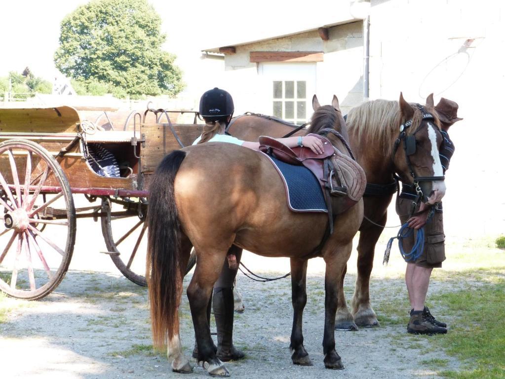 Gite Et Relais Equestre De Marie Tours-en-Vimeu Номер фото