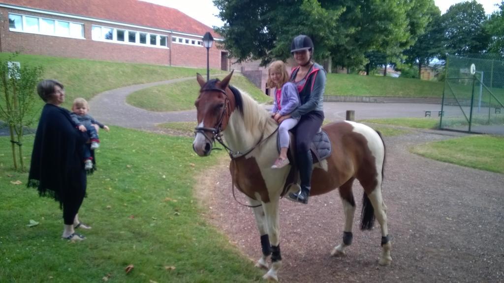 Gite Et Relais Equestre De Marie Tours-en-Vimeu Экстерьер фото